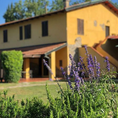 Agriturismo Santa Lorica Sassetta Kültér fotó
