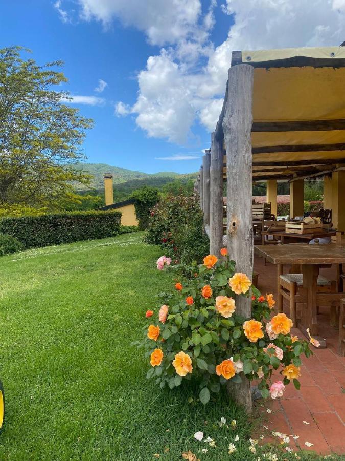 Agriturismo Santa Lorica Sassetta Kültér fotó