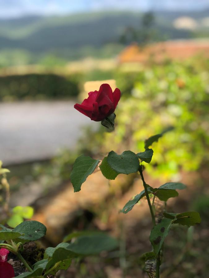 Agriturismo Santa Lorica Sassetta Kültér fotó